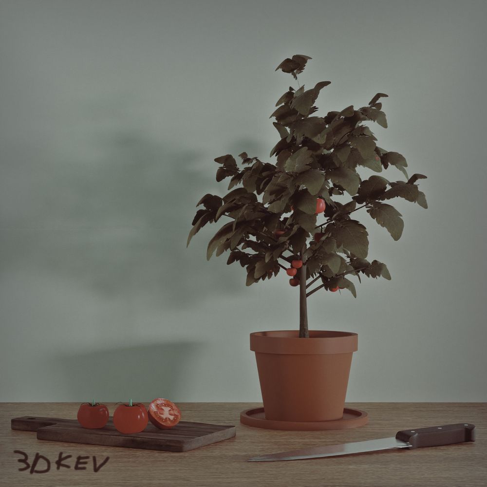 Still Life Tomato.
Rendered in Blender, retouched in Darktable.
#Stilllife #B3D #productphotography #3dviz #3dkev #blender #cycles