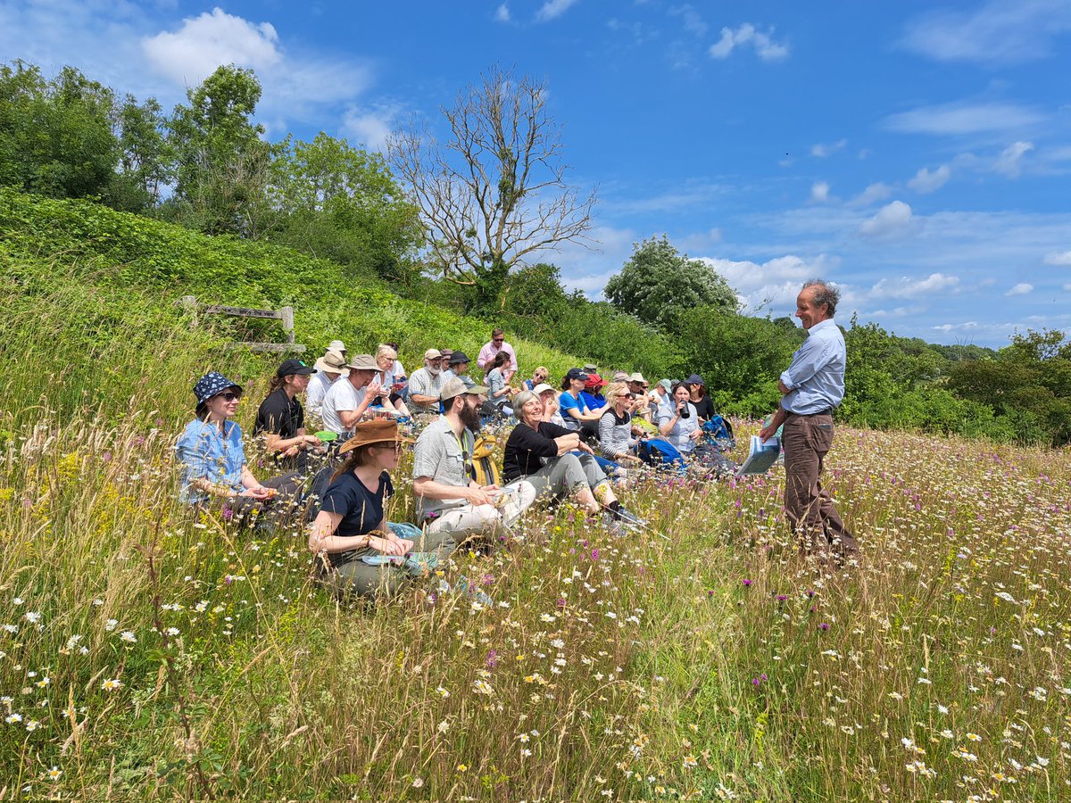 kateystephen's tweet photo. Massive thanks to @NESussexandKent for hosting the NE grassland network. Blown away by the extent and quality of grassland restoration! Shows the importance of longterm adviser/farmer relationship @kentdowns6 Great to see so many of you there @NaturalEngland https://t.co/0yS48NM9Vs