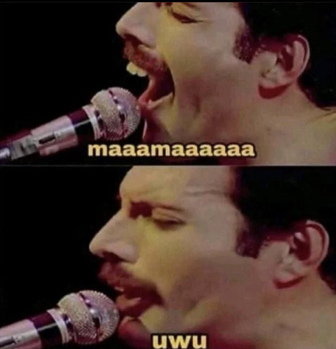 3117- mamaaaaaaaa uwu