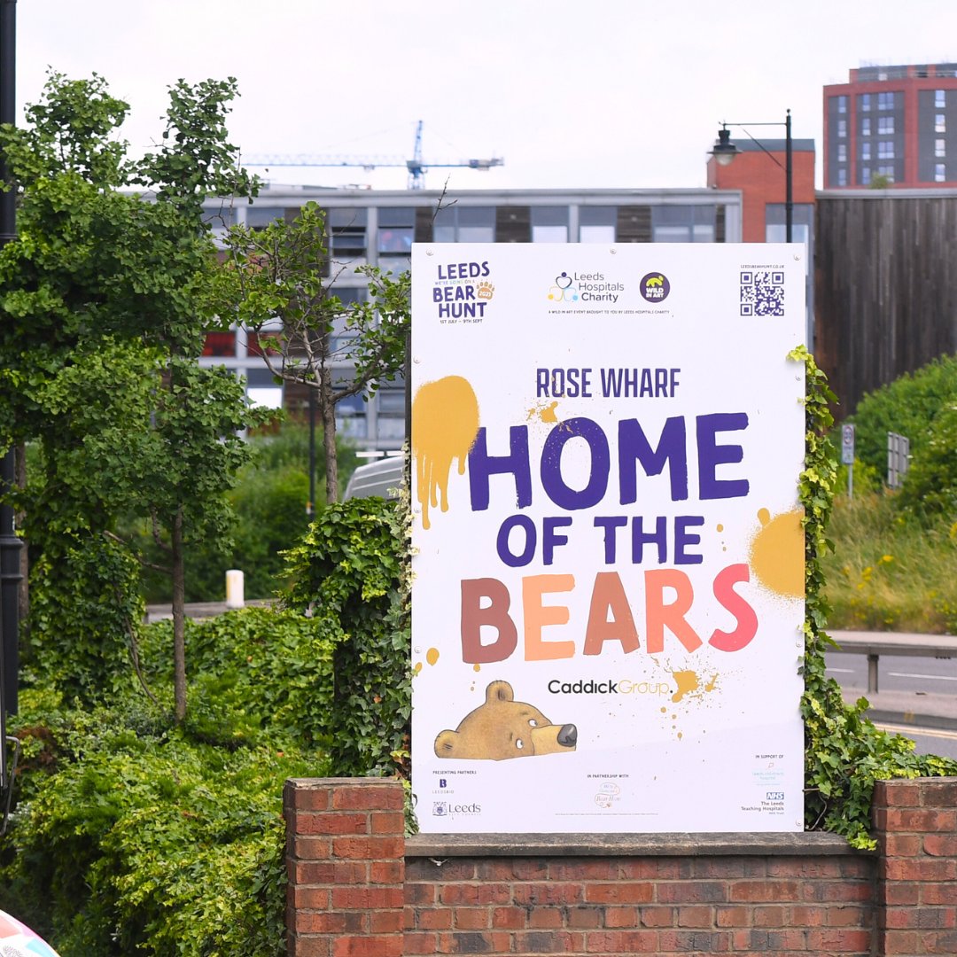 LeedsBearHunt tweet picture