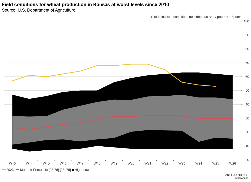 Antiloop Podcast tweet media