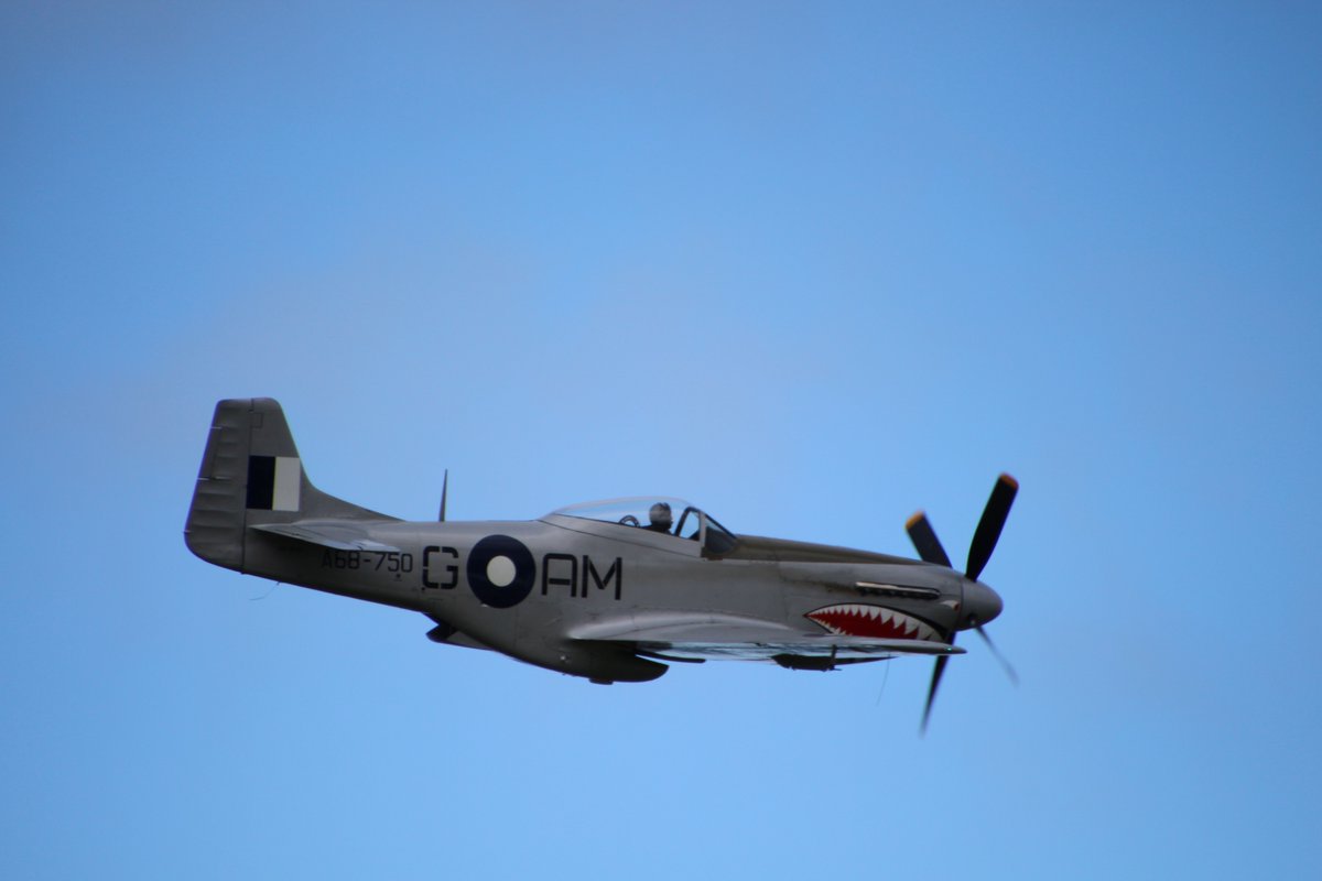 RobGillAUS's tweet photo. A great display by the 100 Squadron Mustang for today's @AusAirForce Museum open day! (1/2) https://t.co/v2VN8HqY3H
