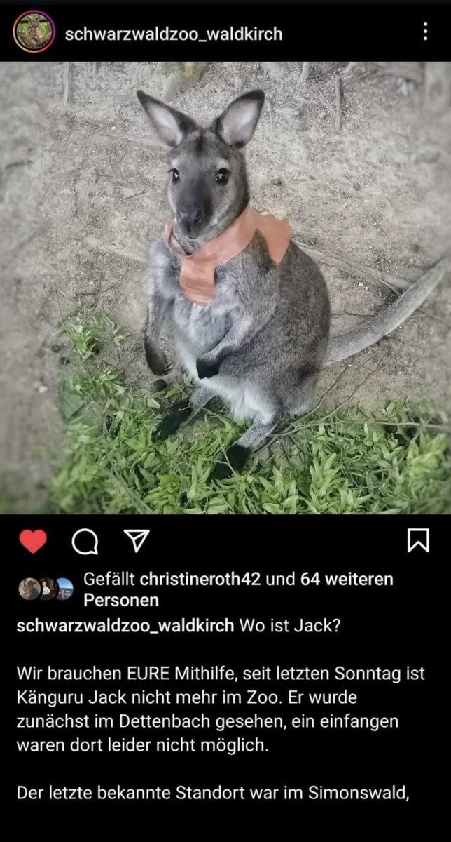 #wichtig #hilfe #pet #animal #RETWEEETMEPLEASE