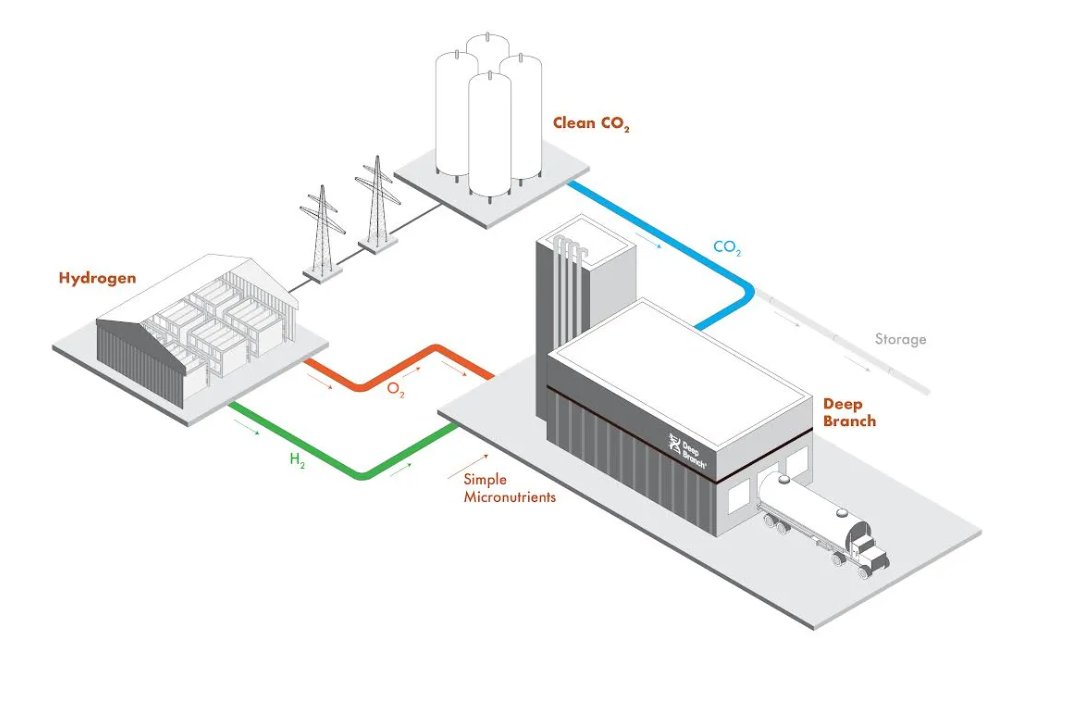Producing 100k tons of <a href="/DeepBranchBio/">Deep Branch</a>’s #protein would prevent an area 3X the size of Paris from deforestation🌳

Learn more about how #greenhydrogen via our #AEM tech is helping them on their path to advance #foodsecurity &amp; #climateresilient food systems:
go.enapter.com/od1Kz