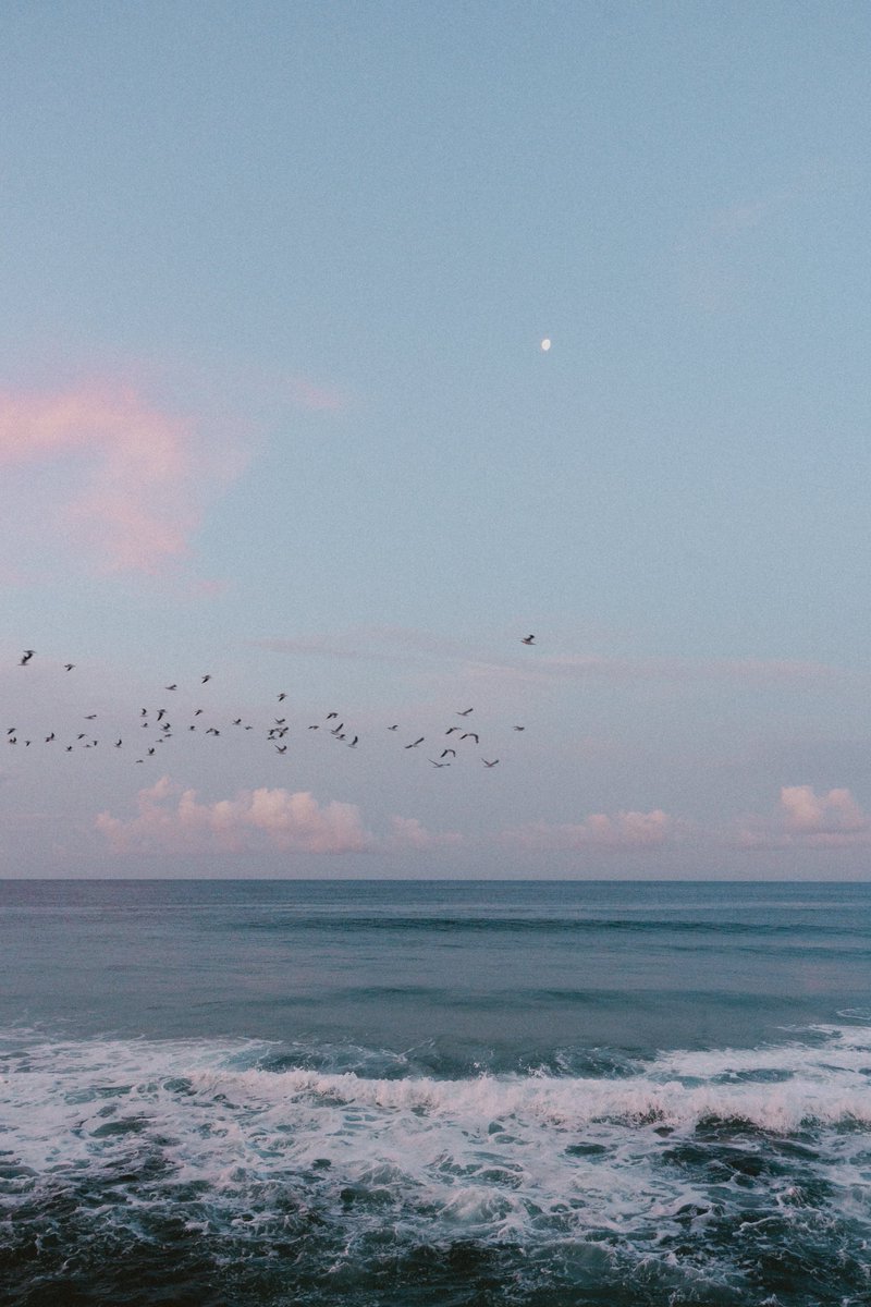 MitchLally's tweet photo. an evening in paradise https://t.co/ekVp4ICEIz