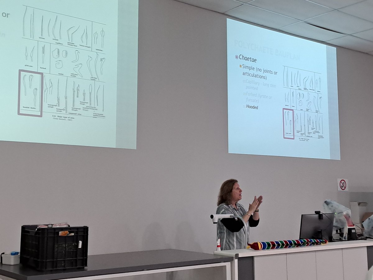 First session of #IPC14 #polychaete workshop well on its way <a href="/IPC2023/">IPC 2023</a> <a href="/Exogone1/">Leslie Harris</a>