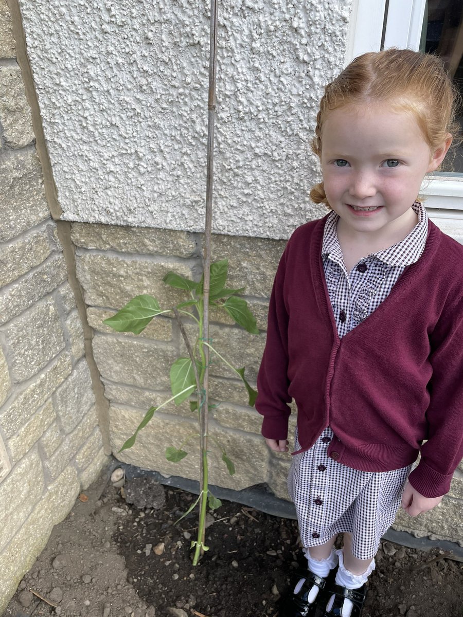 Tanya Coull tweet media