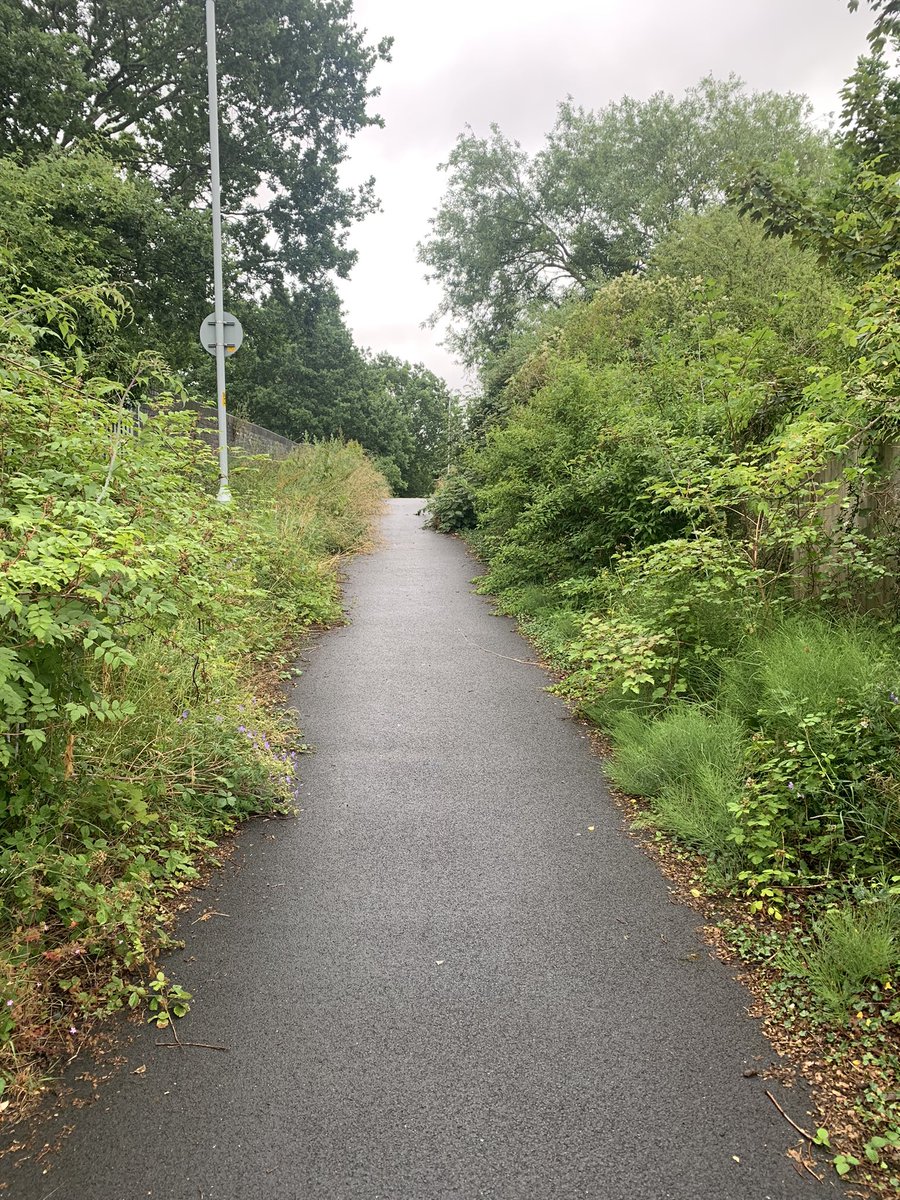 Council: we’ve paved a 50metre long shared path that you can use if you make a 200metre detour so people can continue driving everywhere. You’re welcome. 
Peds/cyclists: thanks, so you’ll include this in your maintenance schedule so it doesn’t narrow to 50cm, right?
Council: …