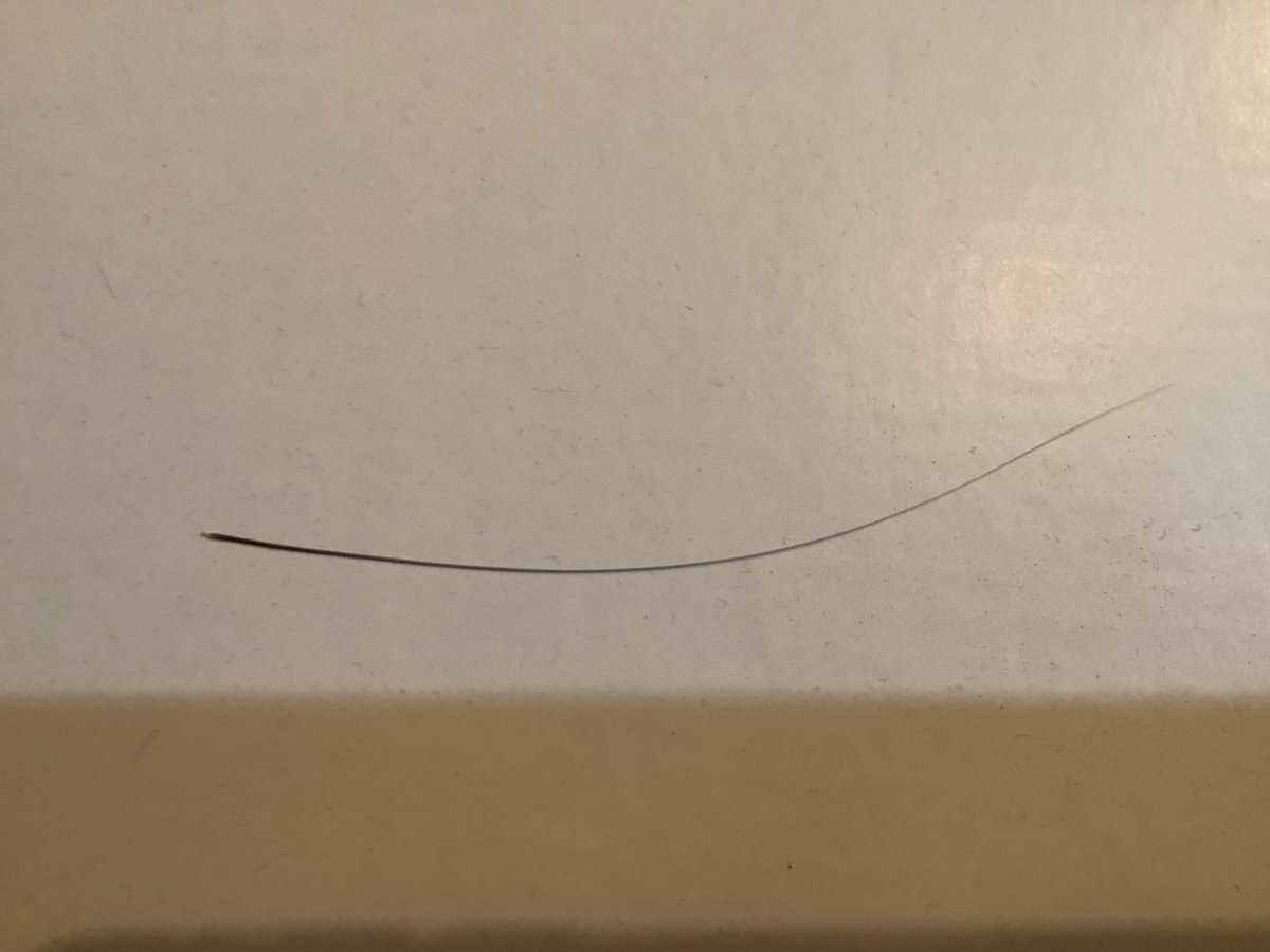 AutoBombProp's tweet image. Is it normal for a cat’s whisker to just fall out?