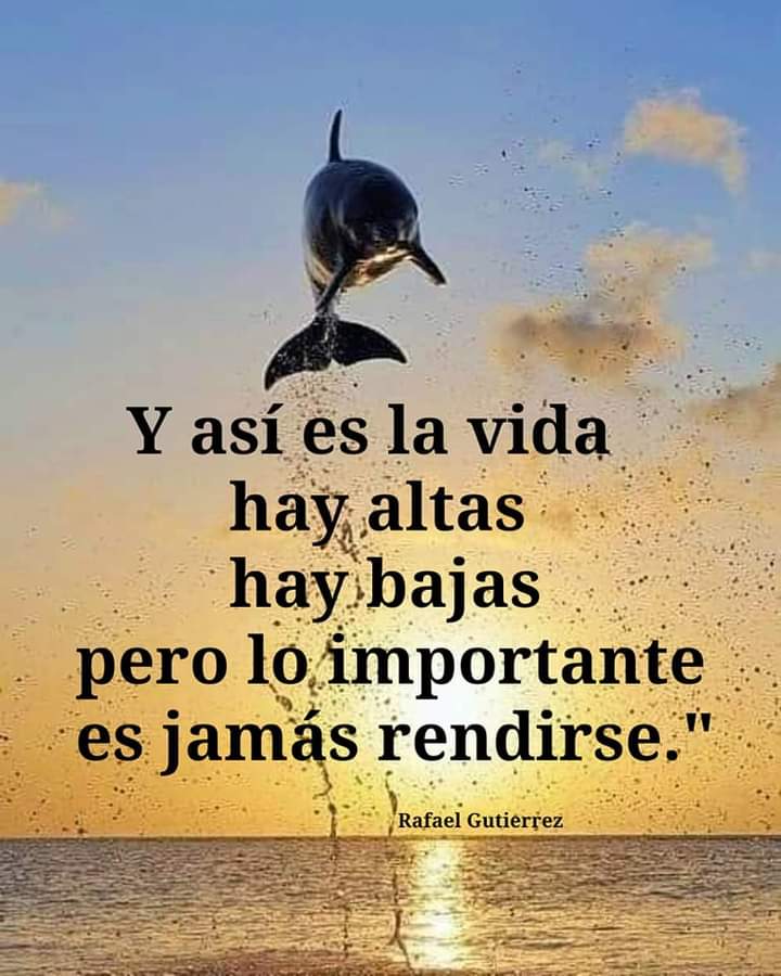 VidaEquilibrada (@vidaequilibrad4) on Twitter photo 