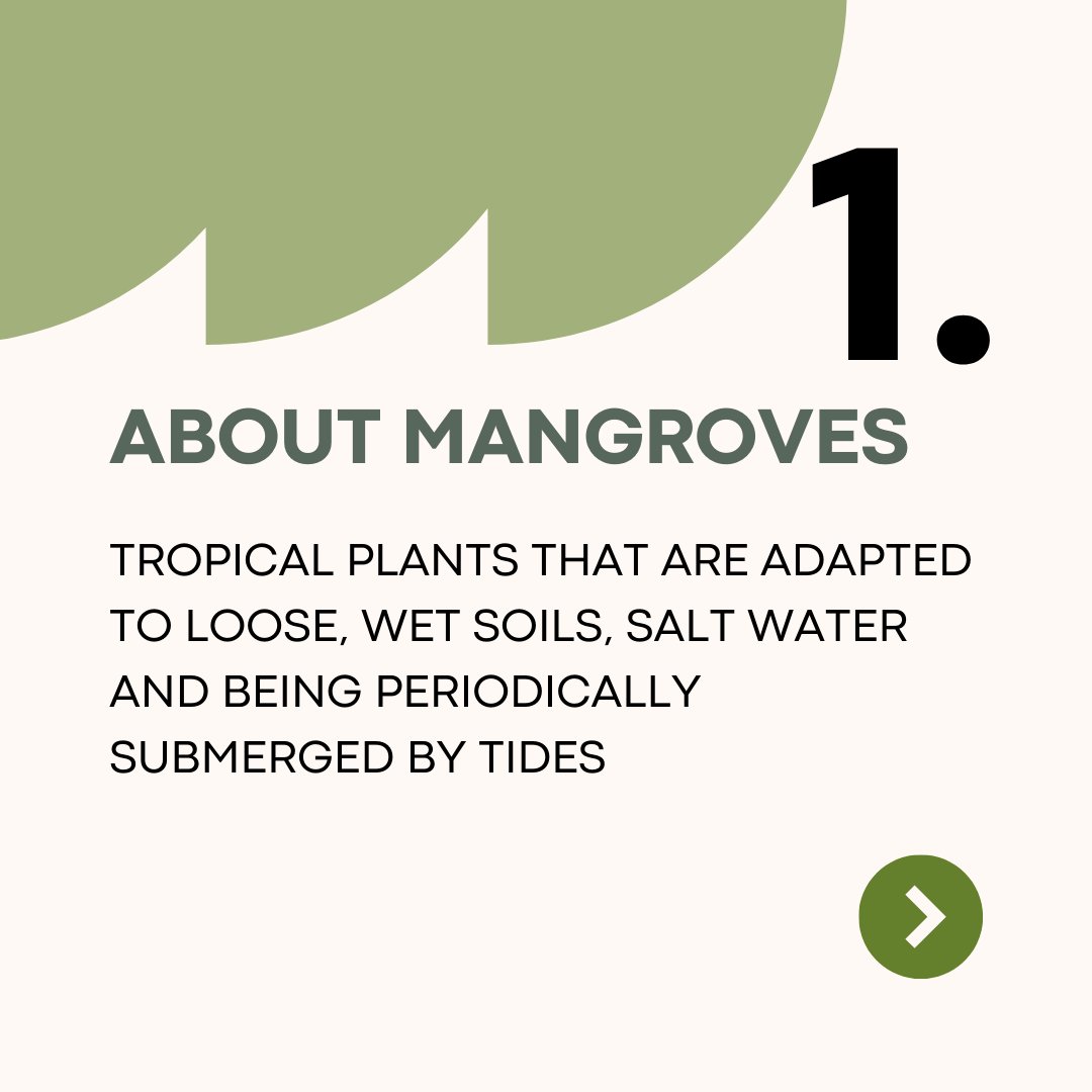 Wetlands International MY tweet media