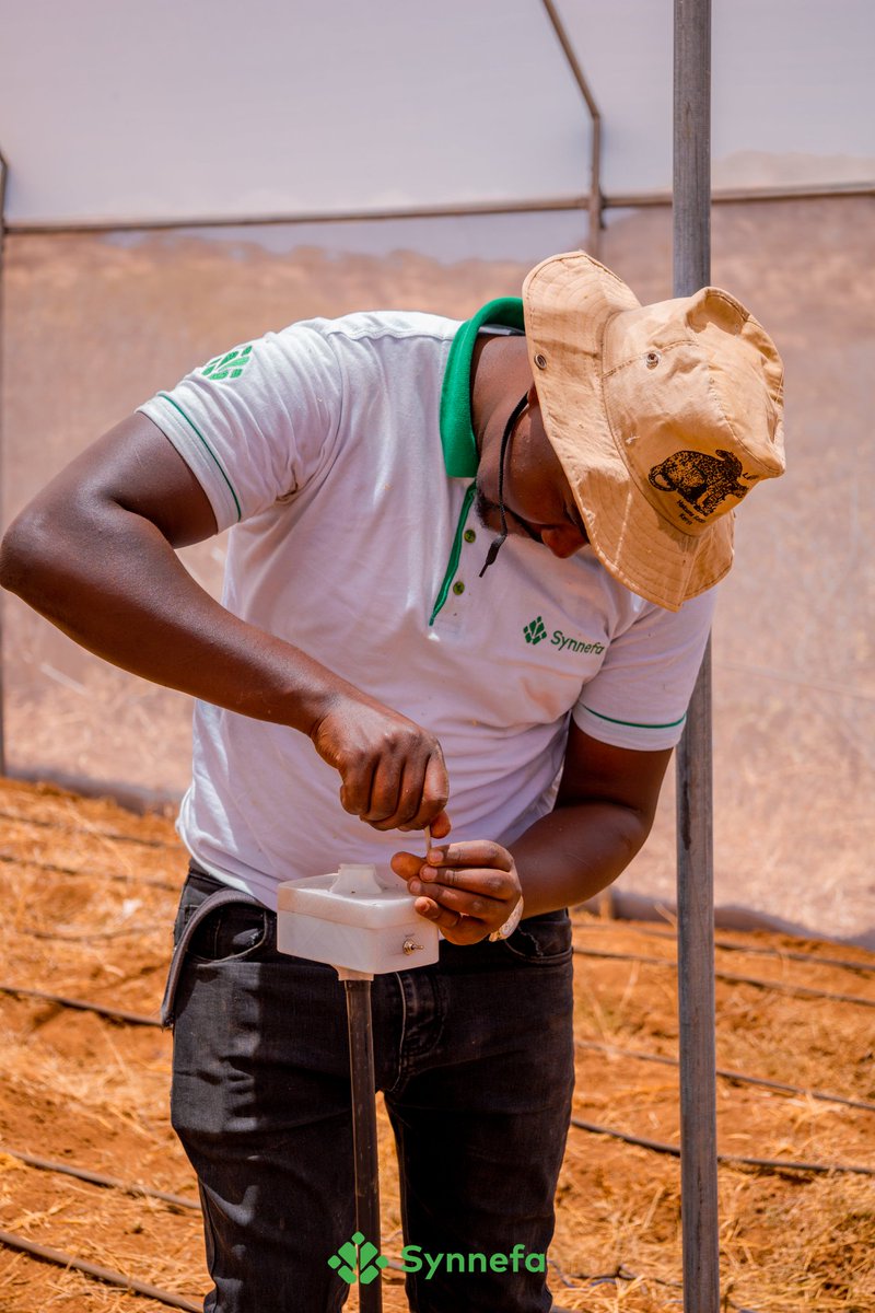 synnefa_KE's tweet photo. Ever heard of Precision Agriculture?

 Also known as site-specific farming or smart  farming, is an approach that utilizes data-driven technologies to  optimize farming practices. https://t.co/92GWdD7uCs