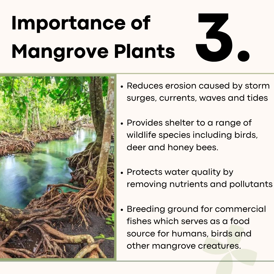 Wetlands International MY tweet media