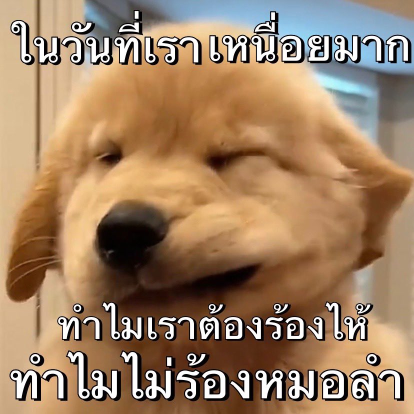 สอยๆๆ ฟังสอยยยยยย 😎✨💕