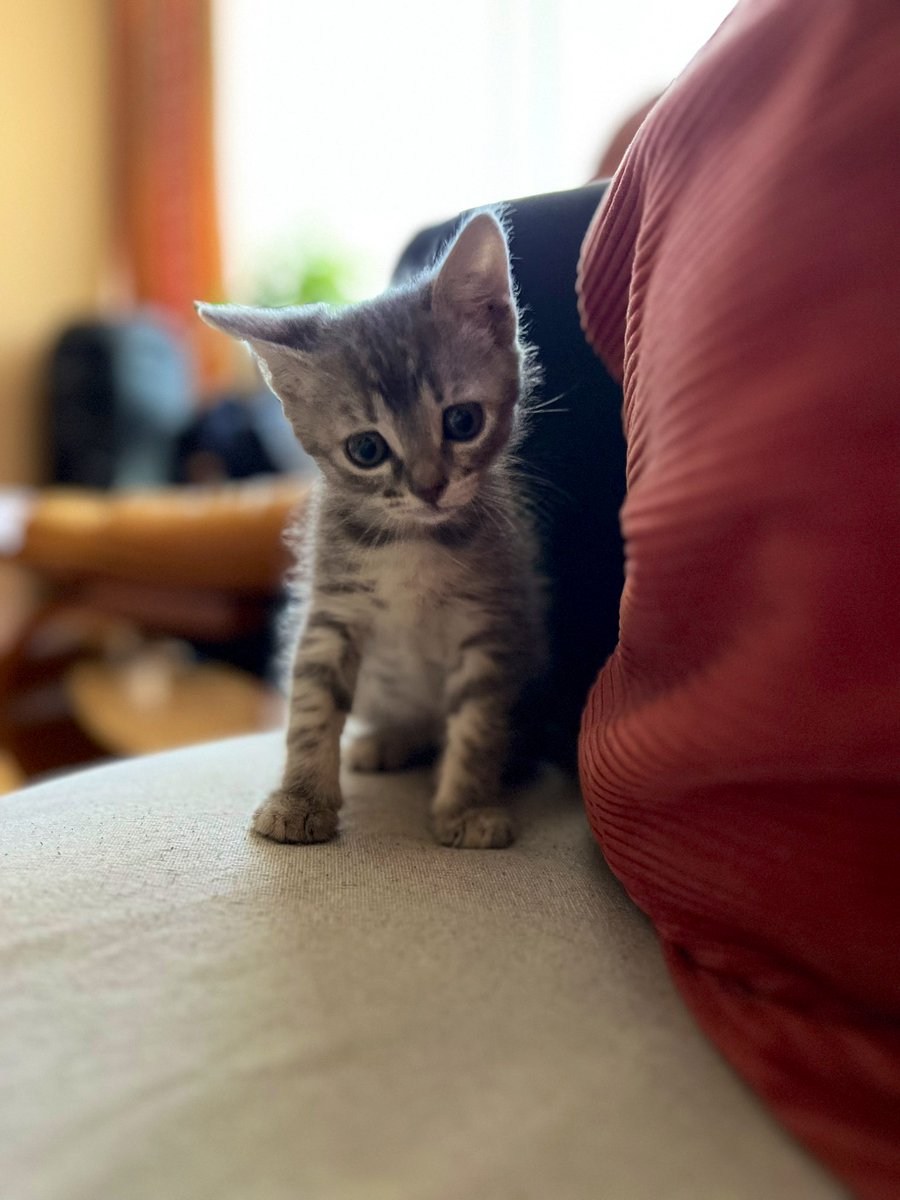 blissess__'s tweet photo. Cuando has crecido tanto 🥹 https://t.co/gtICbZh5M5