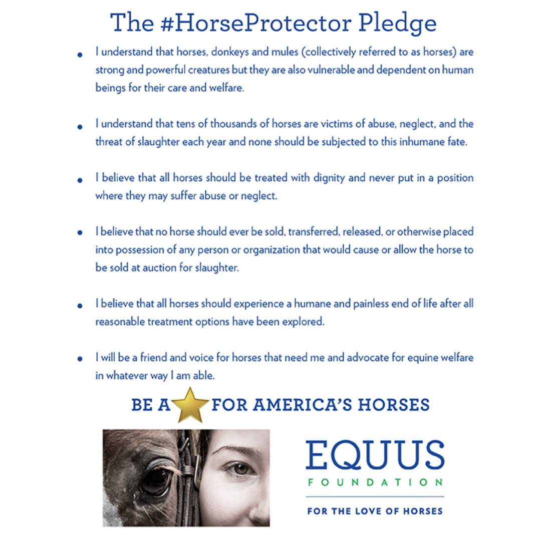As <a href="/EQUUSFoundation/">EQUUS Foundation</a> Guardians, we uphold the #HorseProtector pledge. Help us make a difference by sharing our EQUUS Foundation donation link equusfoundation.org/give/donate-fo… and give horses like June and Summer a lifeline.