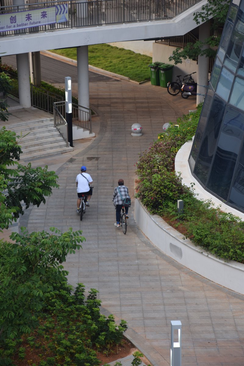 Lingshui_Lian's tweet photo. #campusphotography
🚴On their way to school.🎒
📷 by Yitong Li
#campus #campuslife #university #universitycampus #myuni #universitylife #schoolphotos #mycampus https://t.co/0oLZ3KWeMQ