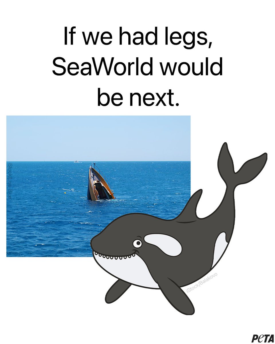 Can’t blame ‘em. #SeaWorldSucks #TeamOrca