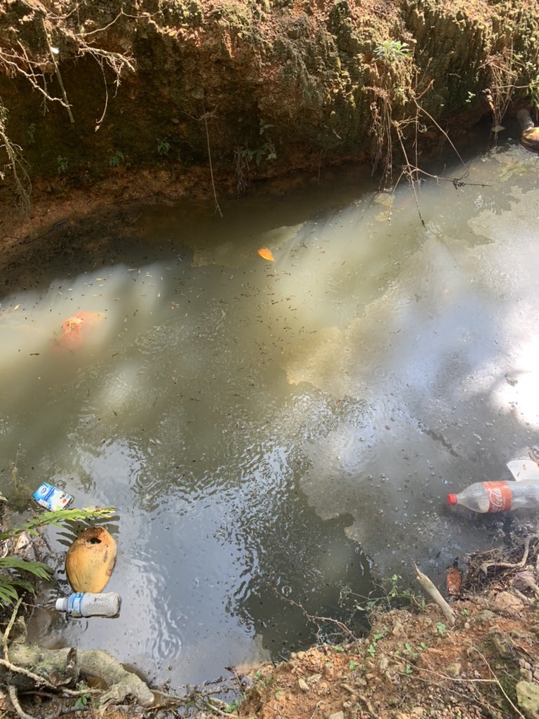 effie_mohamad's tweet photo. Korang tengok ada apa kat parit ni…

Bukan biasa biasa… https://t.co/aFNTEjru6a
