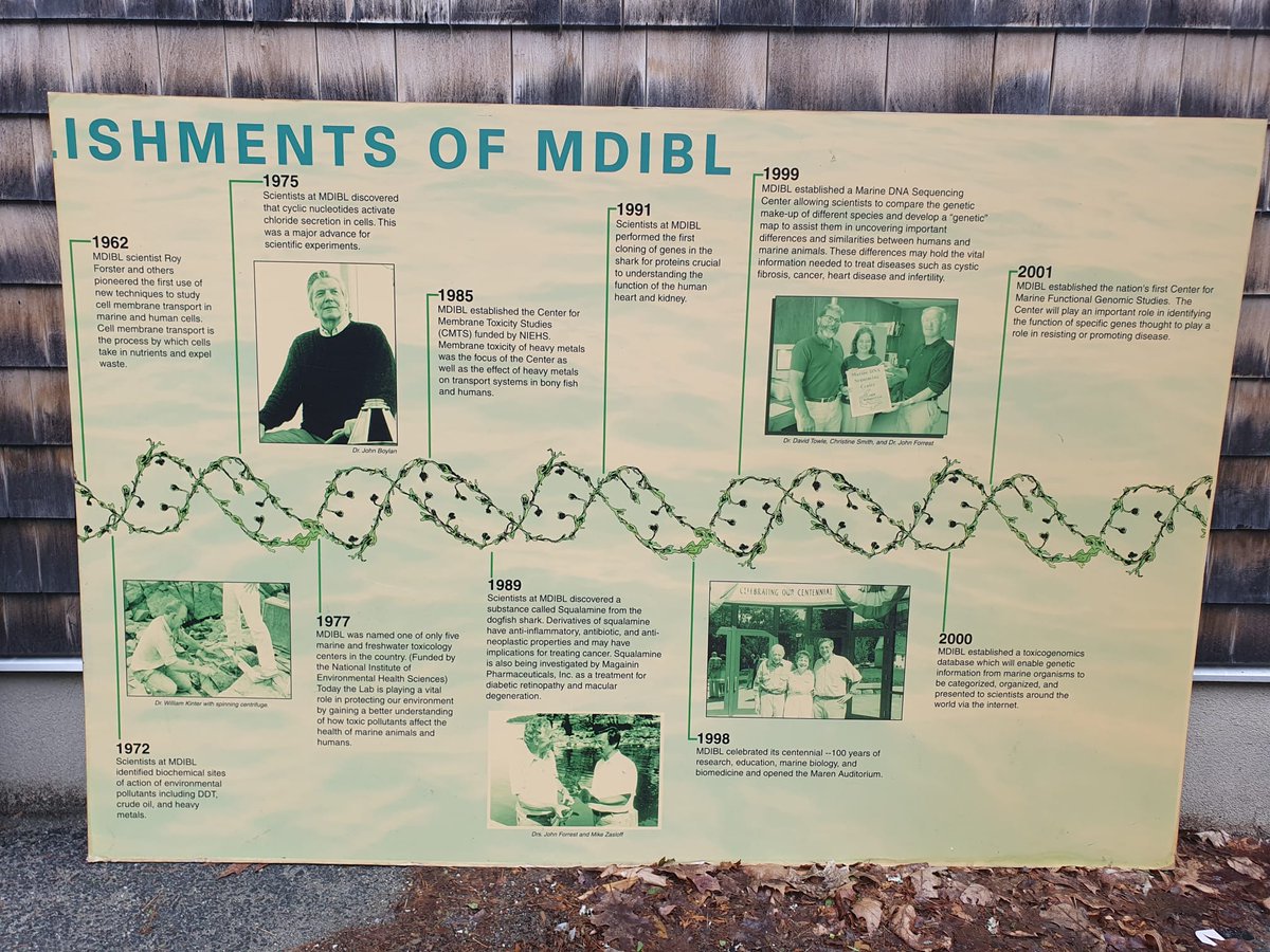 When an institute <a href="/MDIBL/">MDI Biological Lab</a>  is growing, it is inevitable to clean old space and when it is 125 years old, one can always find treasure during cleaning. <a href="/jerilynbowers/">Jerilyn Bowers</a>