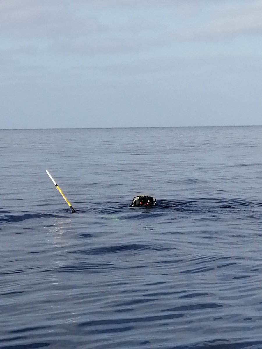 ROC_SIANI's tweet photo. Finalizada la campaña en aguas de la isla de La Palma en contexto del proyecto #bioacu con el glider #SeaExplorer @ulpgcresearch https://t.co/IGijvDPE6s