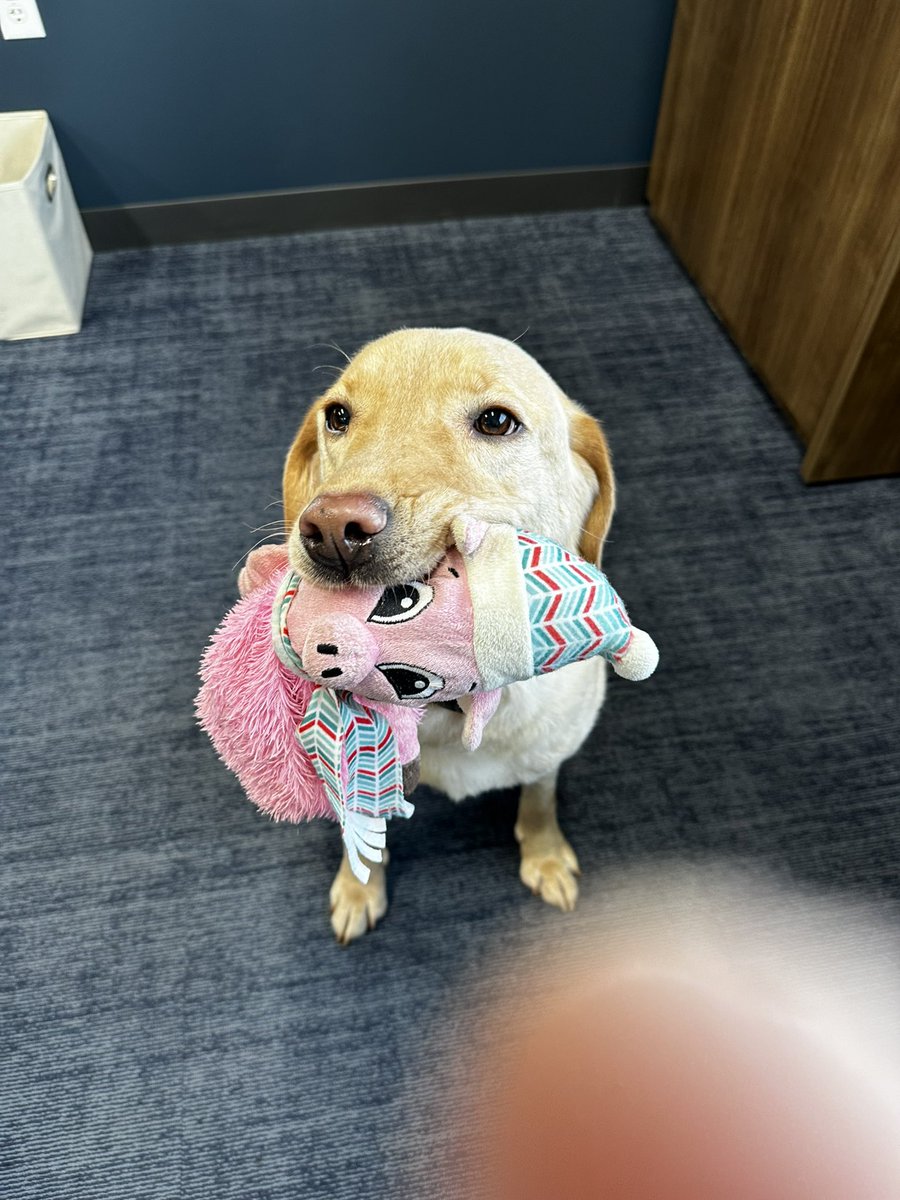 Foleys Mascot Thor says everyone have an amazing Fourth of July and be safe!
