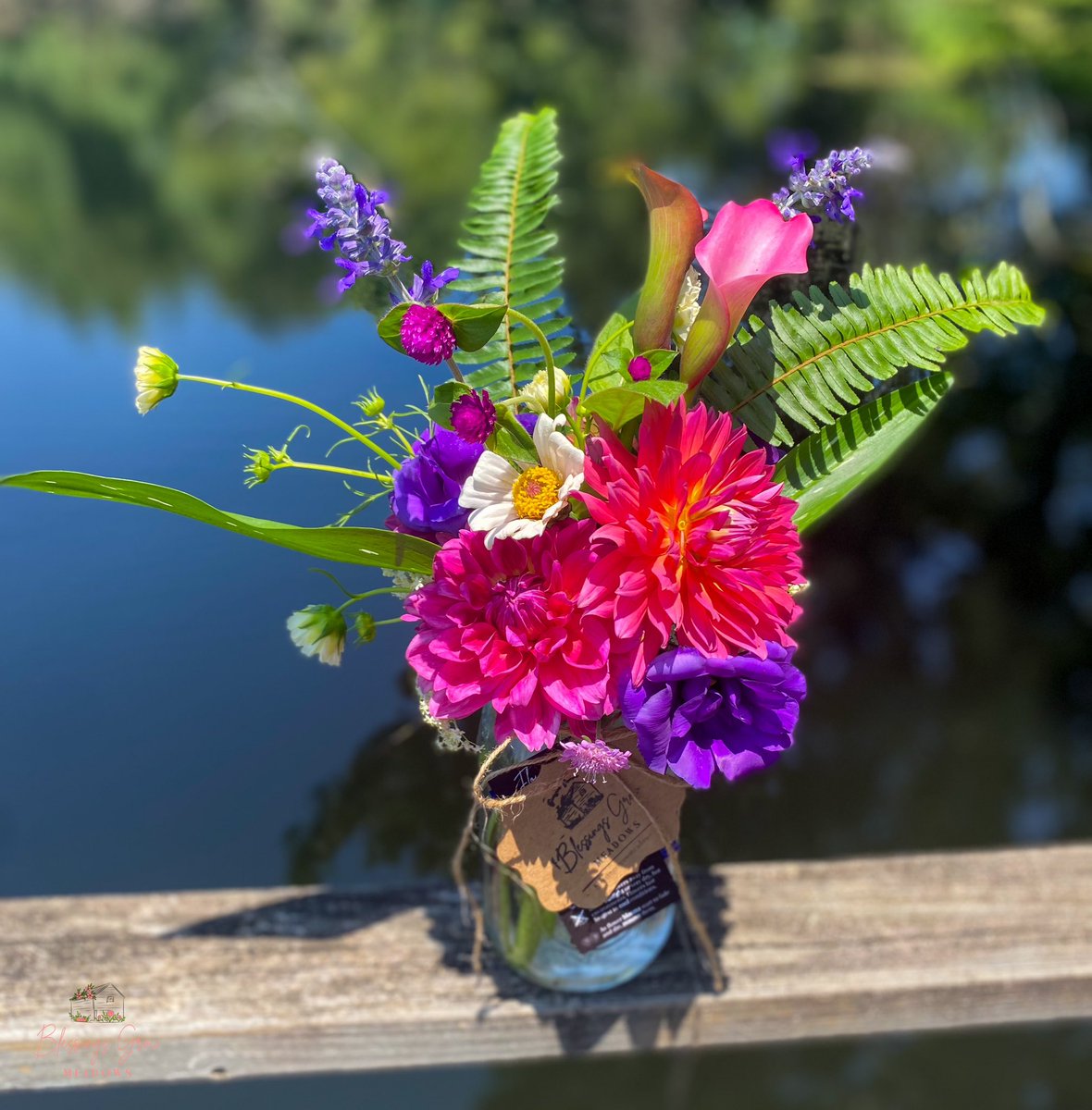 To witness the joy from field to vase is so rewarding. #dahlias #lisanthus #cosmos #zinnia #gomphrena #fieldtovase #cutflowers #locallygrown #localflowers #wholesaleflowers #givinggodtheglory #grownnotflown #georgiagrown #specialtycut #ascfg