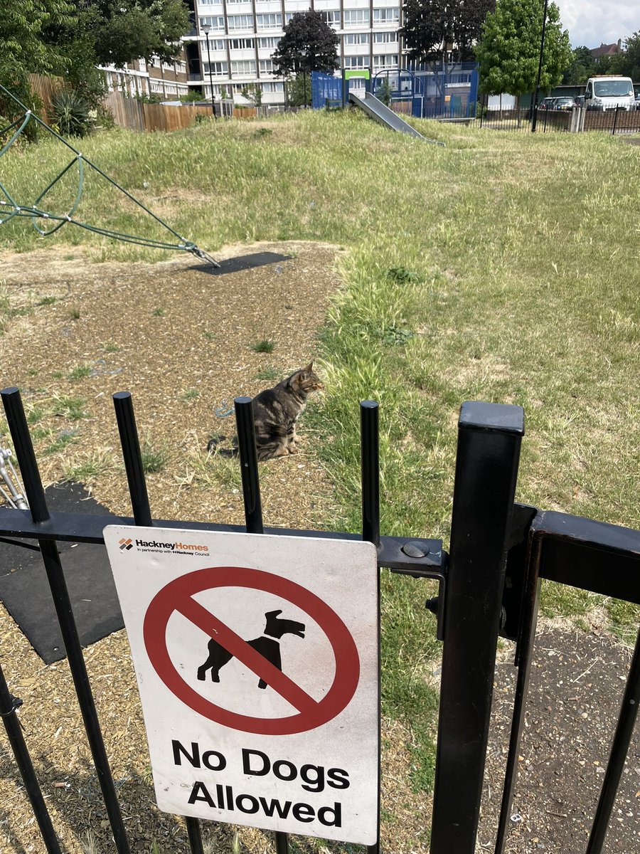 Things are getting a bit tense at the (playground) border