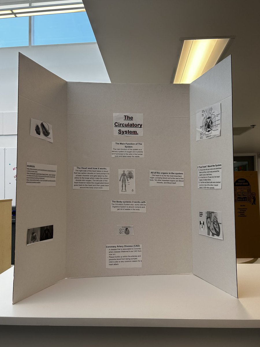 Emily Maynard tweet media