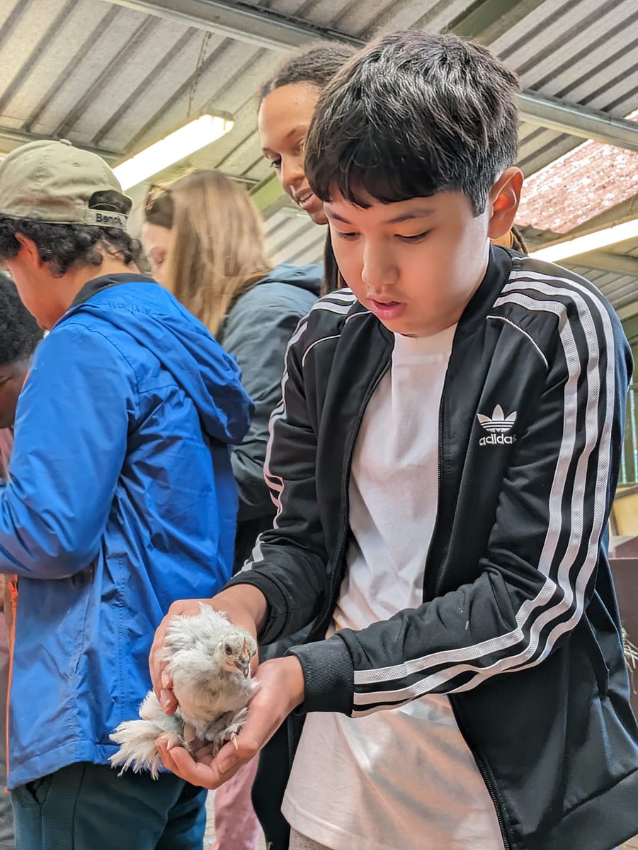 Stormont House tweet media