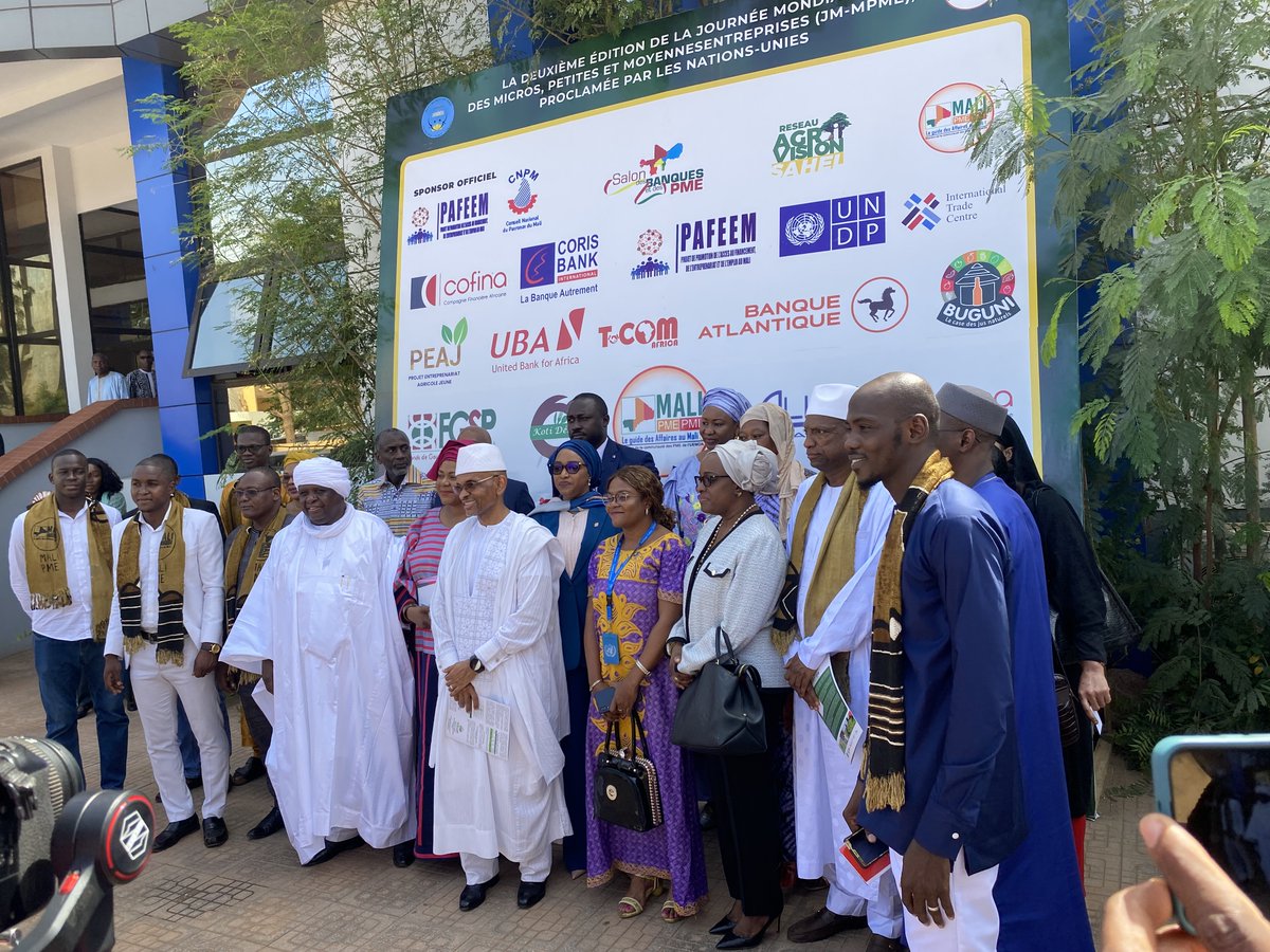 PNUD MALI tweet media
