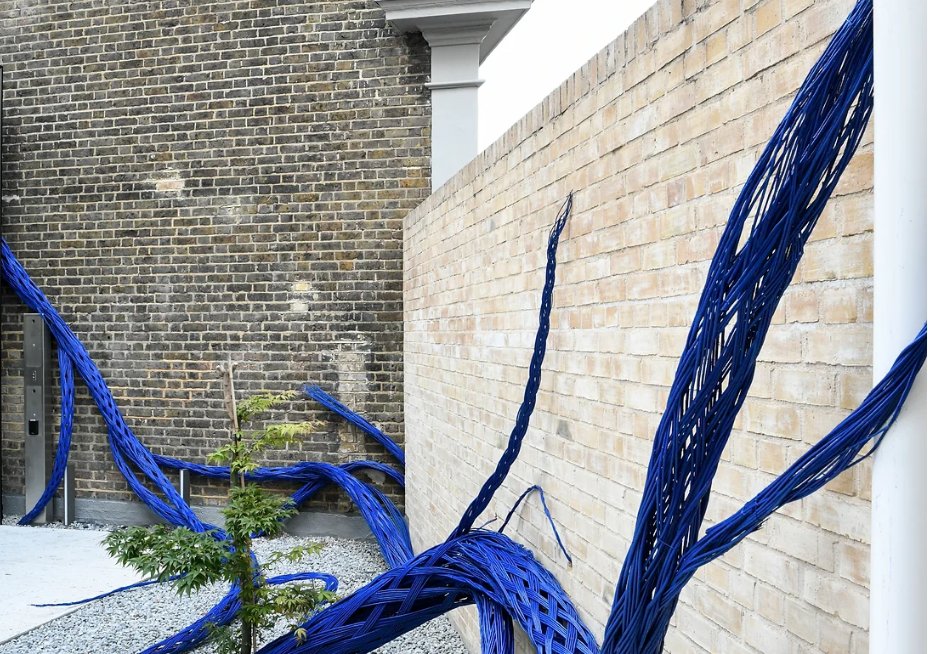 'Hidden Dimension' by Malgorzata Lisiecka spread along the courtyard.@CromwellPlaceUK is an installation made entirely of willow that addresses a functioning mycorrhizal network, an invisible dimension of our environment, hidden underground part of @KCAWlondon Public Art Trail.