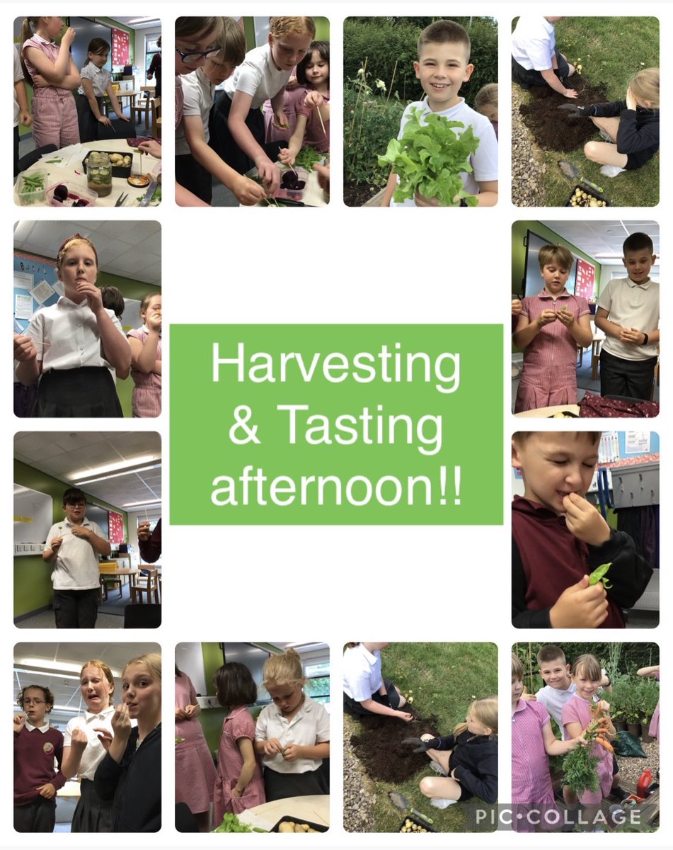 MrsH HLTA@DPS tweet media