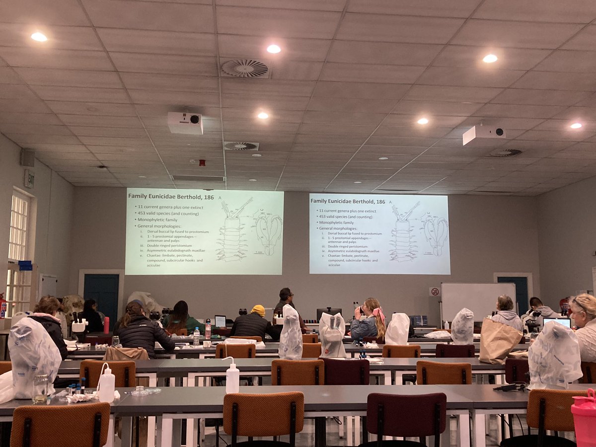 KatieMortimerJ1's tweet photo. … and next up at the #IPC14 Polychaete Identification Course is the Eunicidae Family with @izwandyidris and @jyothikara https://t.co/AHaQ9dSNQM