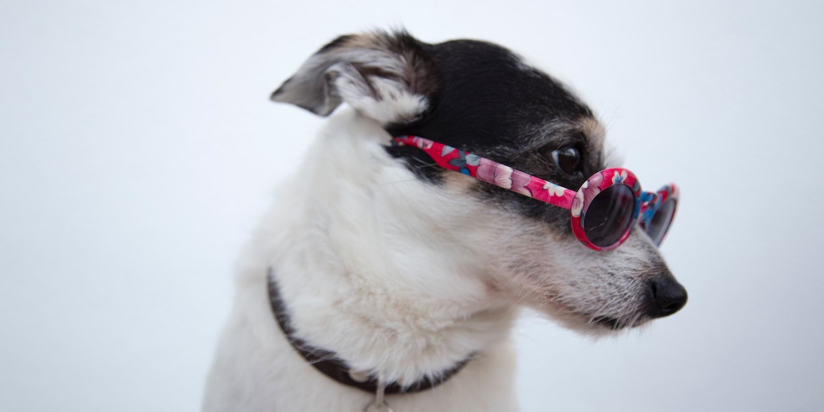 🌱 Alexandre DURAIN 🍒 tweet media