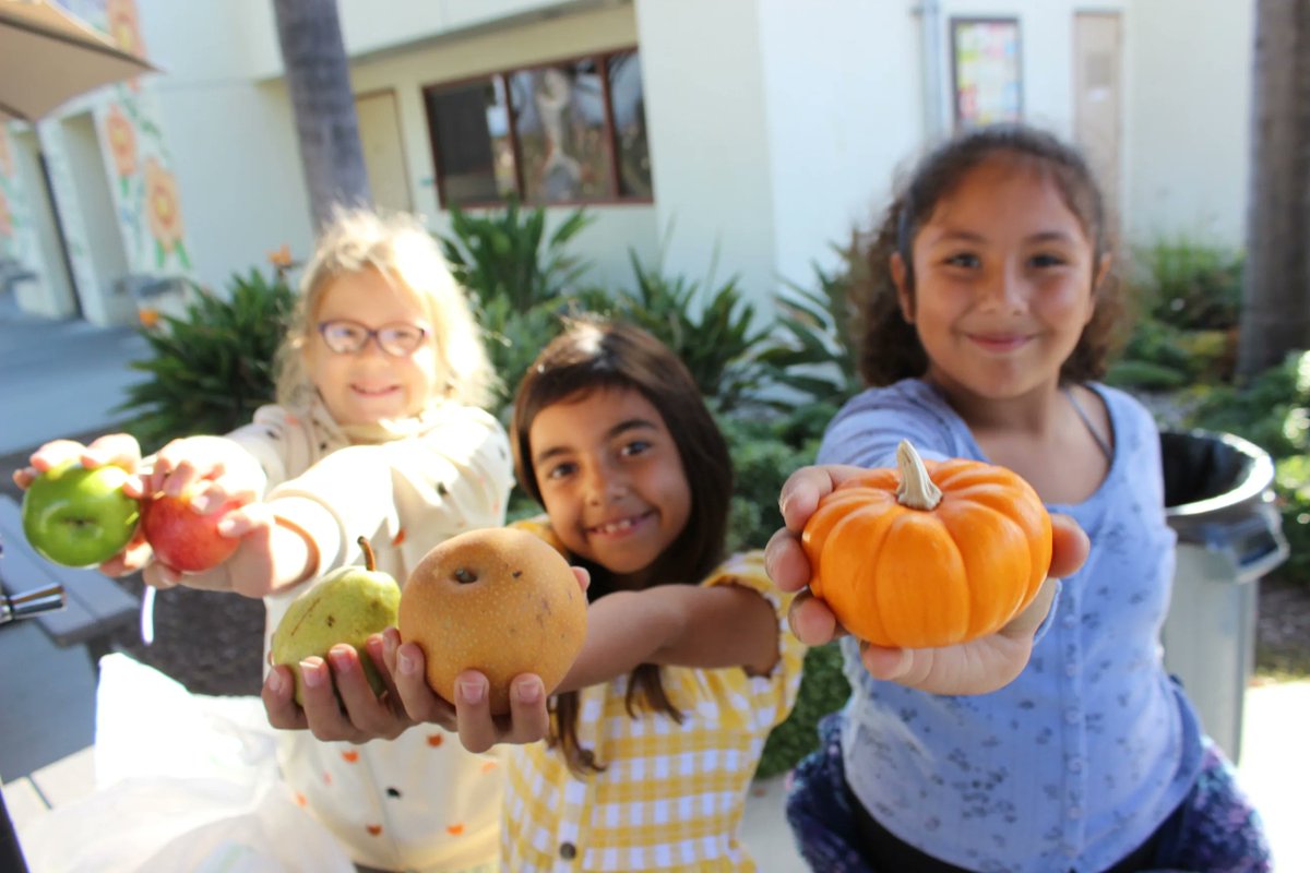 WaveCrestCafe's tweet image. Our summer meals come with fresh, seasonal fruits &amp;amp; veggies packed with nutrients and flavor. Join us for tasty meals and lots of fresh produce. See locations, times &amp;amp; menus
wavecrestcafe.com/menu/  
#schoolnutrition #freshfruit #freshveggies