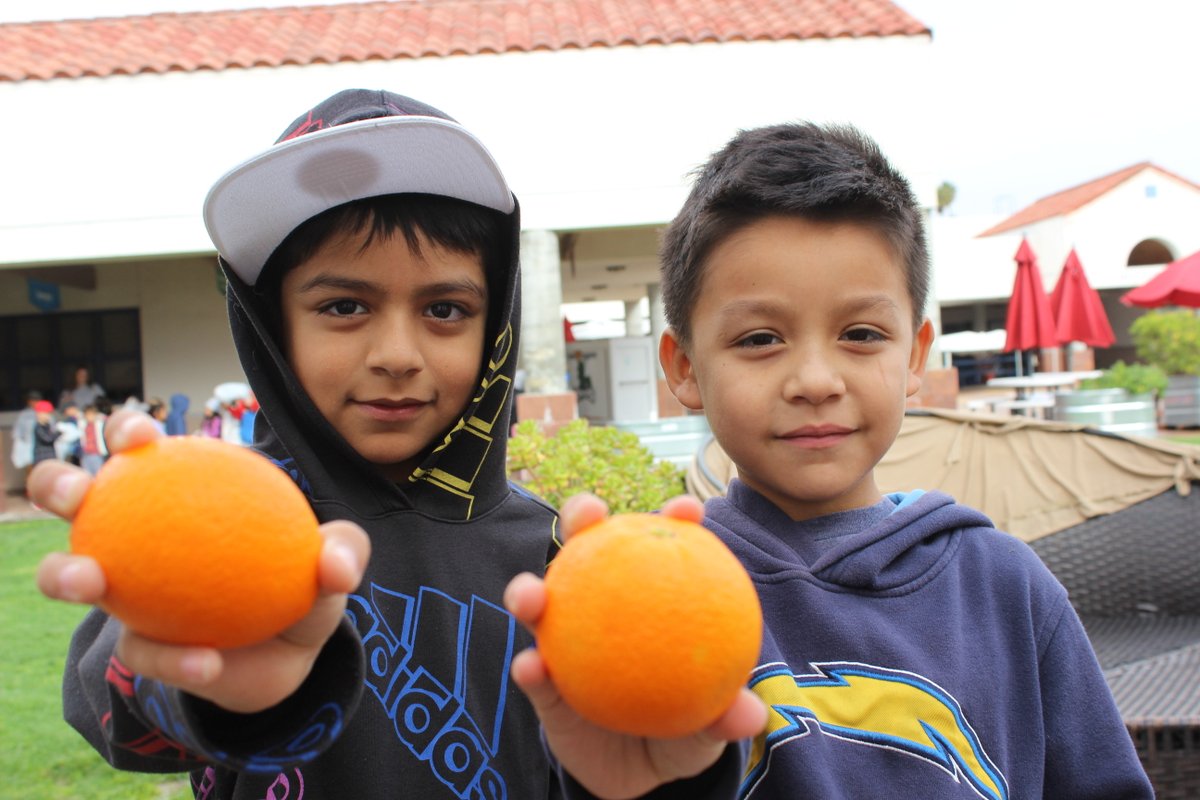 WaveCrestCafe's tweet image. Our summer meals come with fresh, seasonal fruits &amp;amp; veggies packed with nutrients and flavor. Join us for tasty meals and lots of fresh produce. See locations, times &amp;amp; menus
wavecrestcafe.com/menu/  
#schoolnutrition #freshfruit #freshveggies