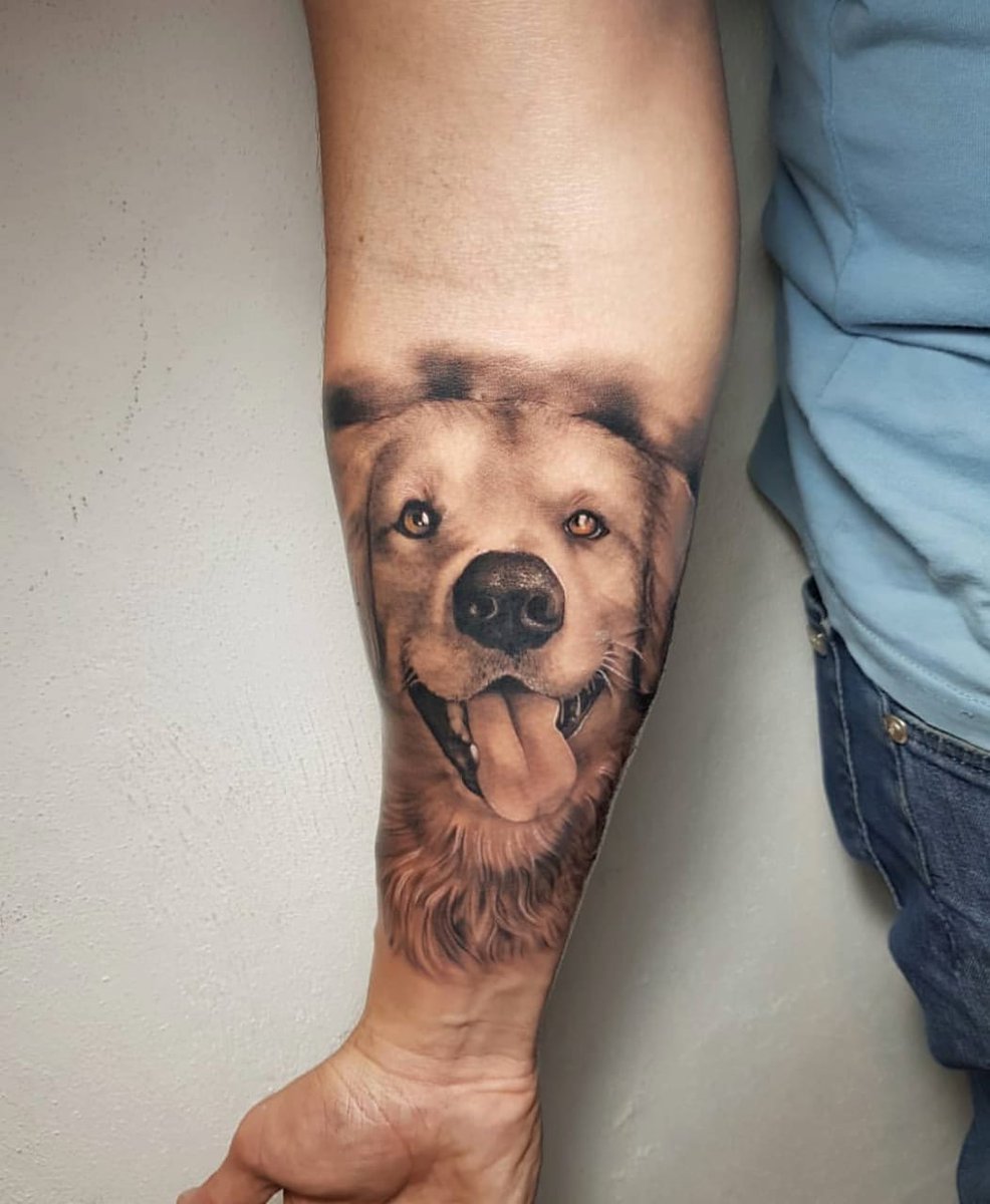 Fede Lezcano tweet media