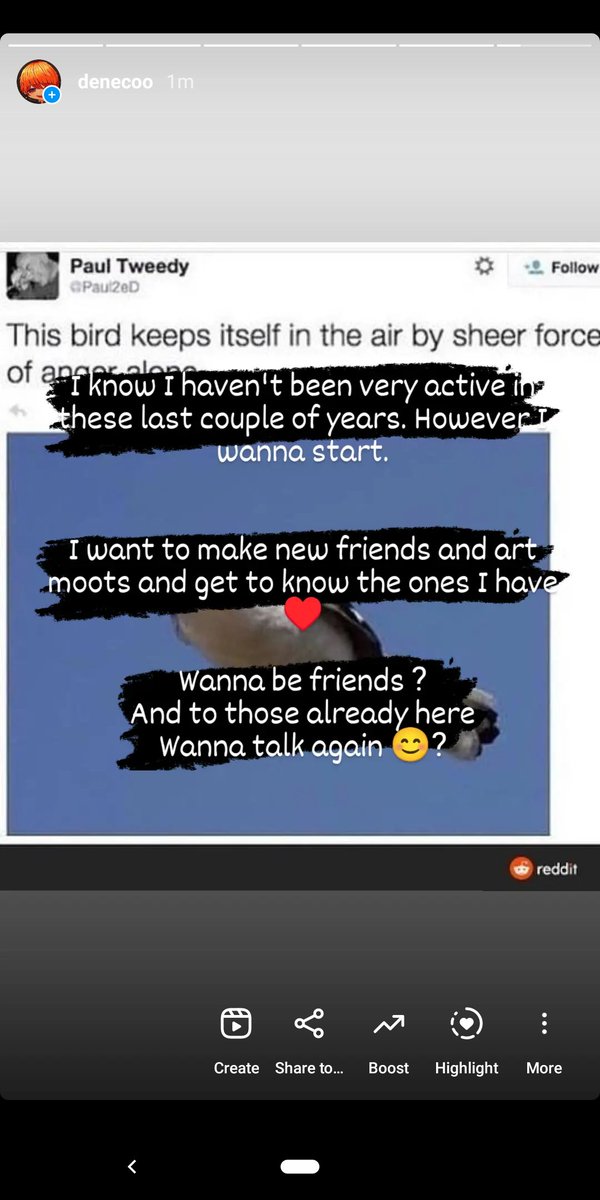 deneco_'s tweet image. Wanna start doing a community of friends again ♥️😊?

Let&apos;s start rebuilding ♥️
I&apos;m sorry I had been semi active for that long. Forgive me 🫶?
#artmoots #lookingfor #friends #friendship #art #artists #community #support