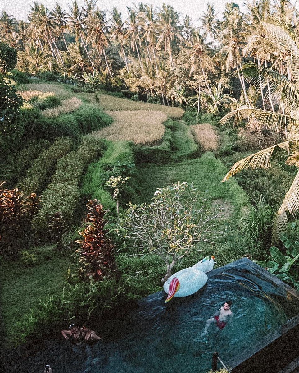 risyiana's tweet photo. Airbnb is trending so it’s time to promote #MilliwaysBali and #HaighaHouse in Ubud 🙃 https://t.co/m1TNRPFPcu