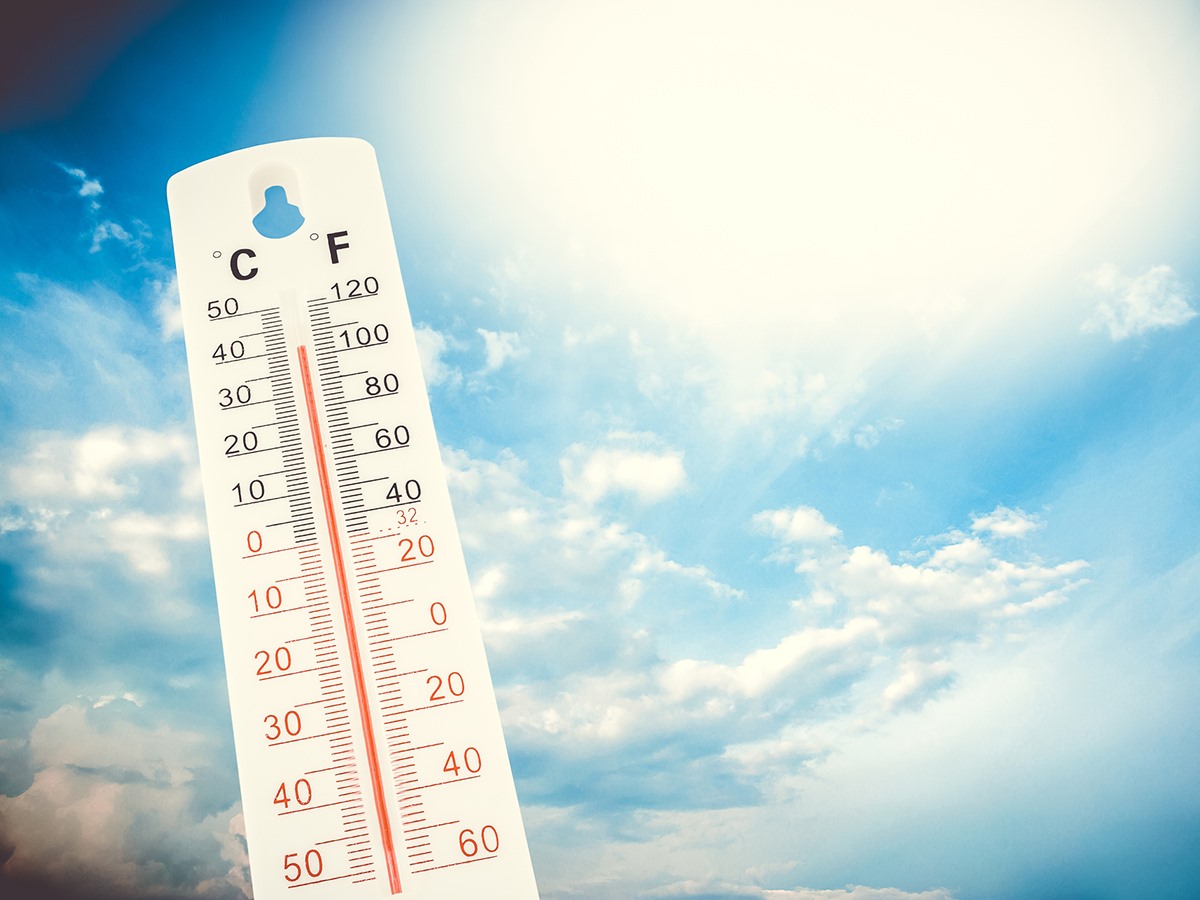 MidContinent Library tweet media