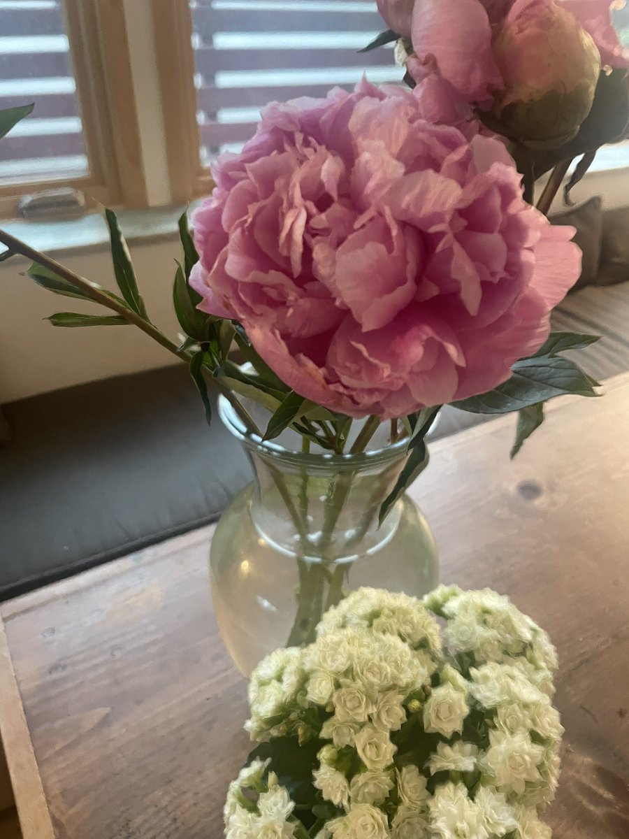 KarenTumlin's tweet photo. Peonies are hanging on for the final #SCOTUSWatch day(s)… https://t.co/FH9PwQk5gR