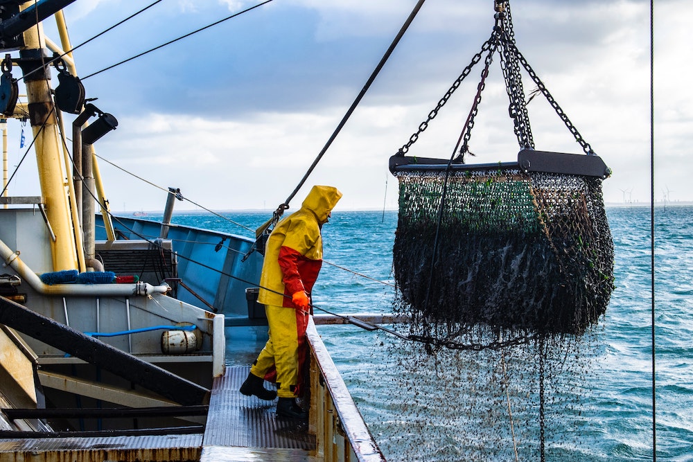 net_gains's tweet photo. The #NetGainsAlliance sees great potential in our nation’s #fisheries. We work with industry stakeholders to build a better data-driven future.
https://t.co/gJyeqNTfnI
#data #sustainability #conservation #oceans #inspire @EM4Fish #em4fish https://t.co/0TqGDDxxzr