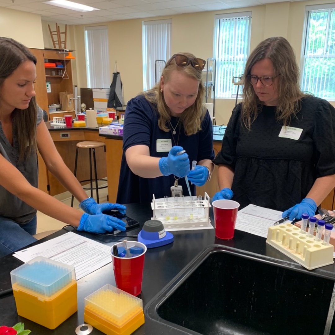 Systems Sally tweet media