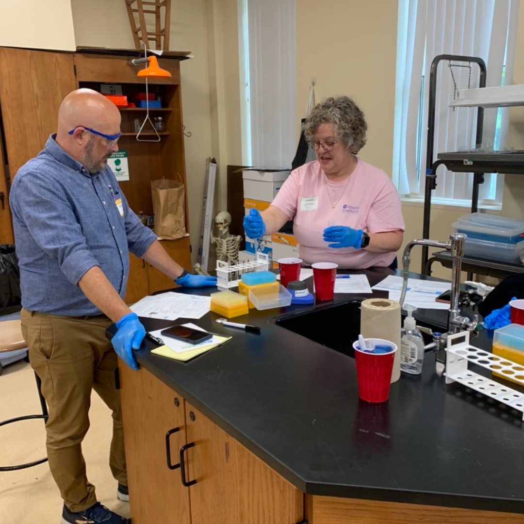 Systems Sally tweet media