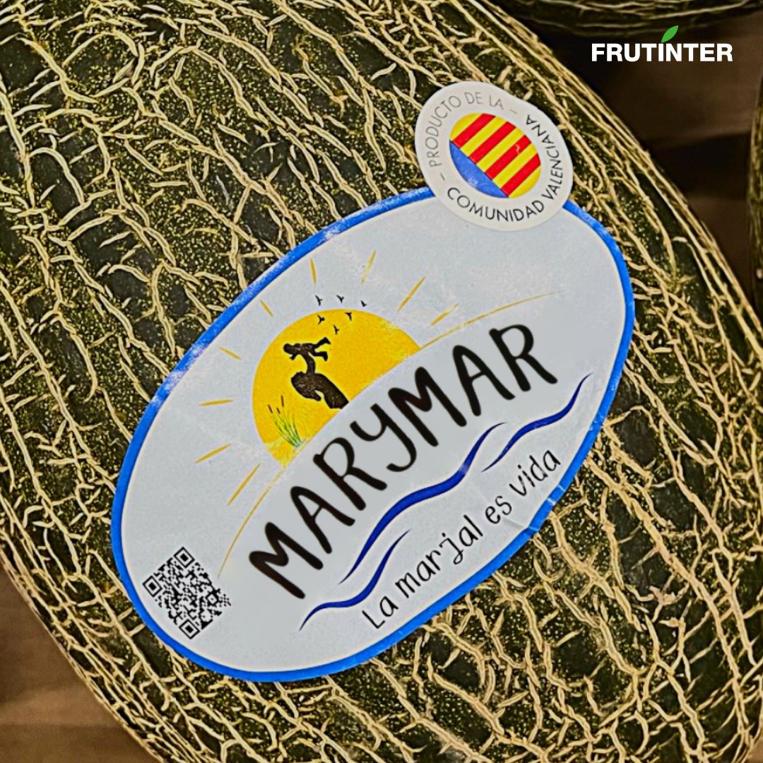 frutinter's tweet photo. ¡MARYMAR, LA MARJAL ES VIDA! 🍈
En Frutínter hemos apostado por un nuevo proyecto de producción propia de melones de proximidad. En este caso, se trata de melón piel de sapo. Hemos creado esta nueva marca exclusivamente para los productos allí sembrados 👏🏼
#frutinter https://t.co/ADDYftwSzU