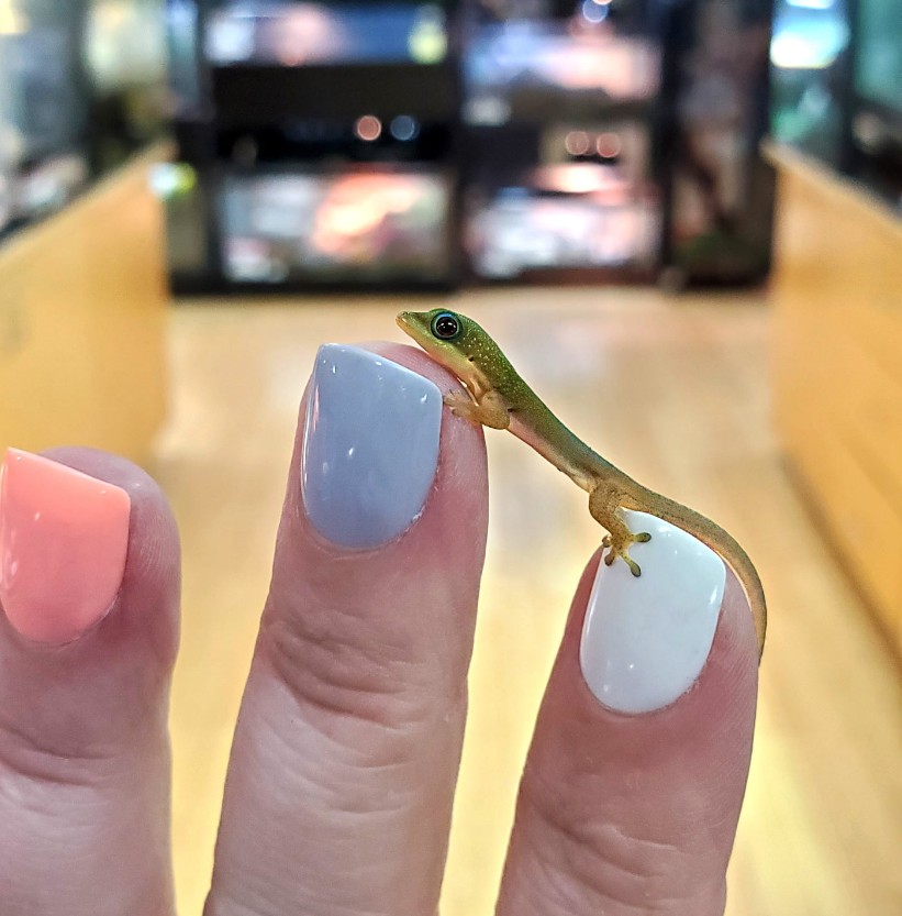 Lucky you... new markdowns dropped in price! - mailchi.mp/petmountain/ti…