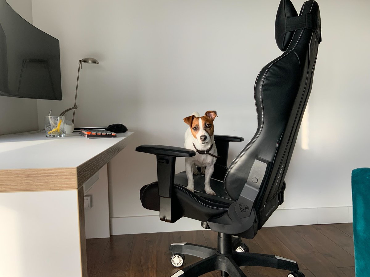 Instapage's tweet photo. On #NationalWorkFromHomeDay, we're proud to have remote #Instapeeps from across the globe working together.
📸 Take a look at the WFH set-ups from our marketing team, who work across 3 countries and 5 timezones! https://t.co/DD8IECMjCw https://t.co/RFfDooa8WM