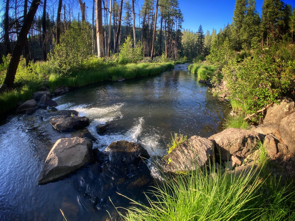 Early morning along the Black River in the White Mountains, eastern Arizona. #Arizona #camping #fishing #hiking