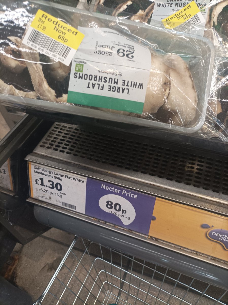 Michael Luke Walsh tweet media